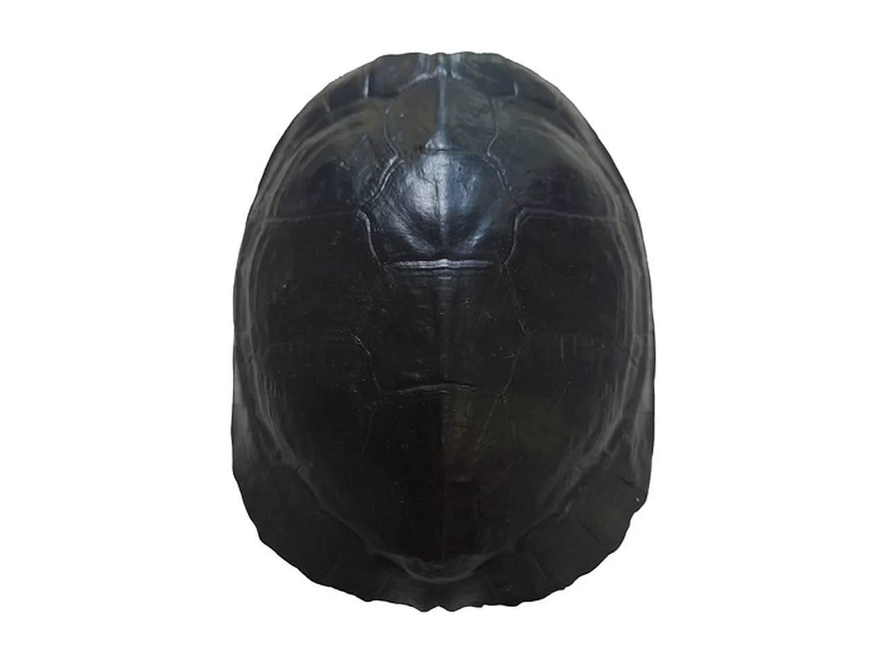 Kattenhuis Furnilux - Zwart en Schildpad - Small