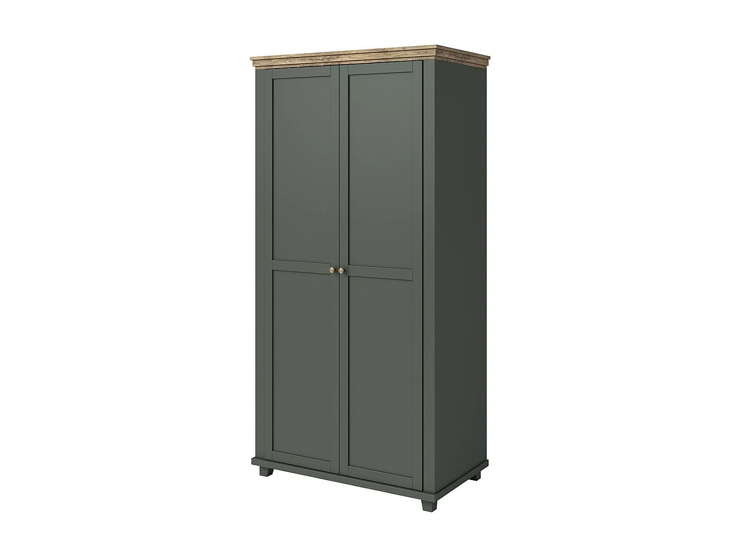 Kast 110x220 met 2 deuren. Kleur groen en eiken. Collectie ASSIA
