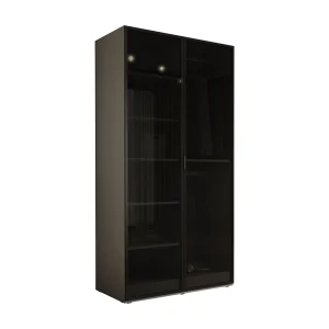 Kast: Platinagrijs / Zonwerend glas, 100 x 200 x 51 cm Kast: Platinagrijs / Zonwerend glas, 100 x 200 x 51 cm
