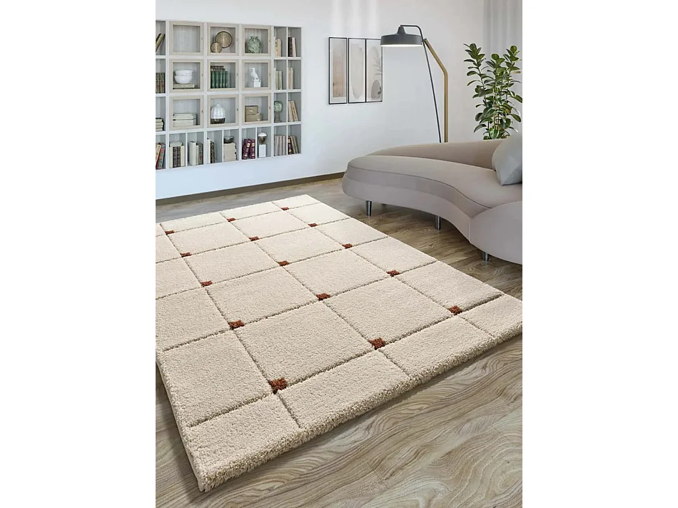 Hoogpolig tapijt - shaggy geometrisch - wit - 80x150 cm - BRENDA
