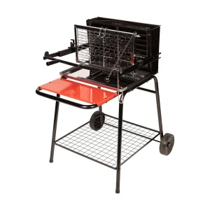 Houtskoolbarbecue met verticale haard RAYMOND Houtskoolbarbecue met verticale haard RAYMOND