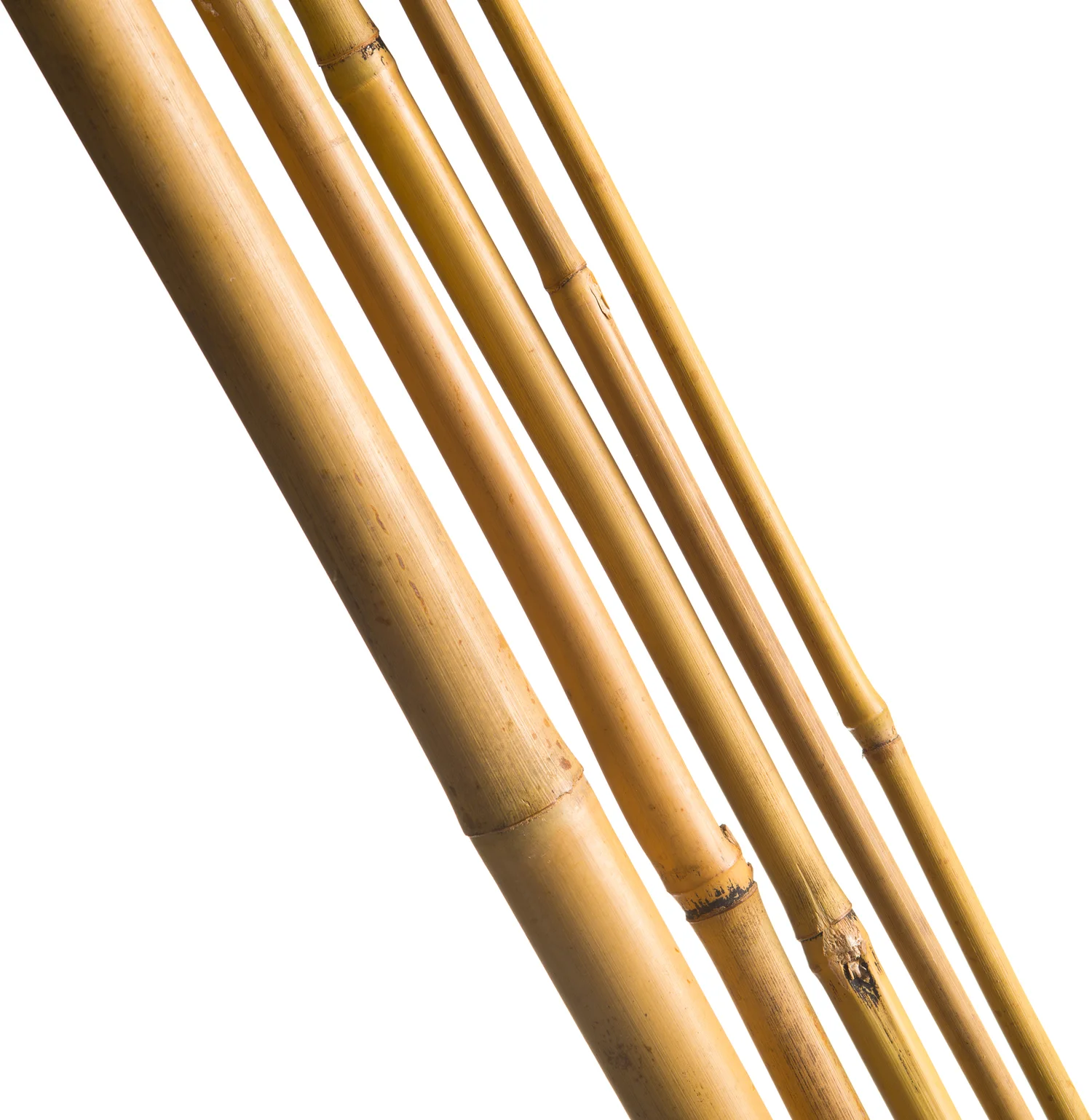 Nature bamboestok 120cmxØ10-12mm naturel 5st