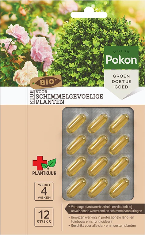 Pokon Bio Plantkuur Schimmelgevoelige planten capsules 12 stuks