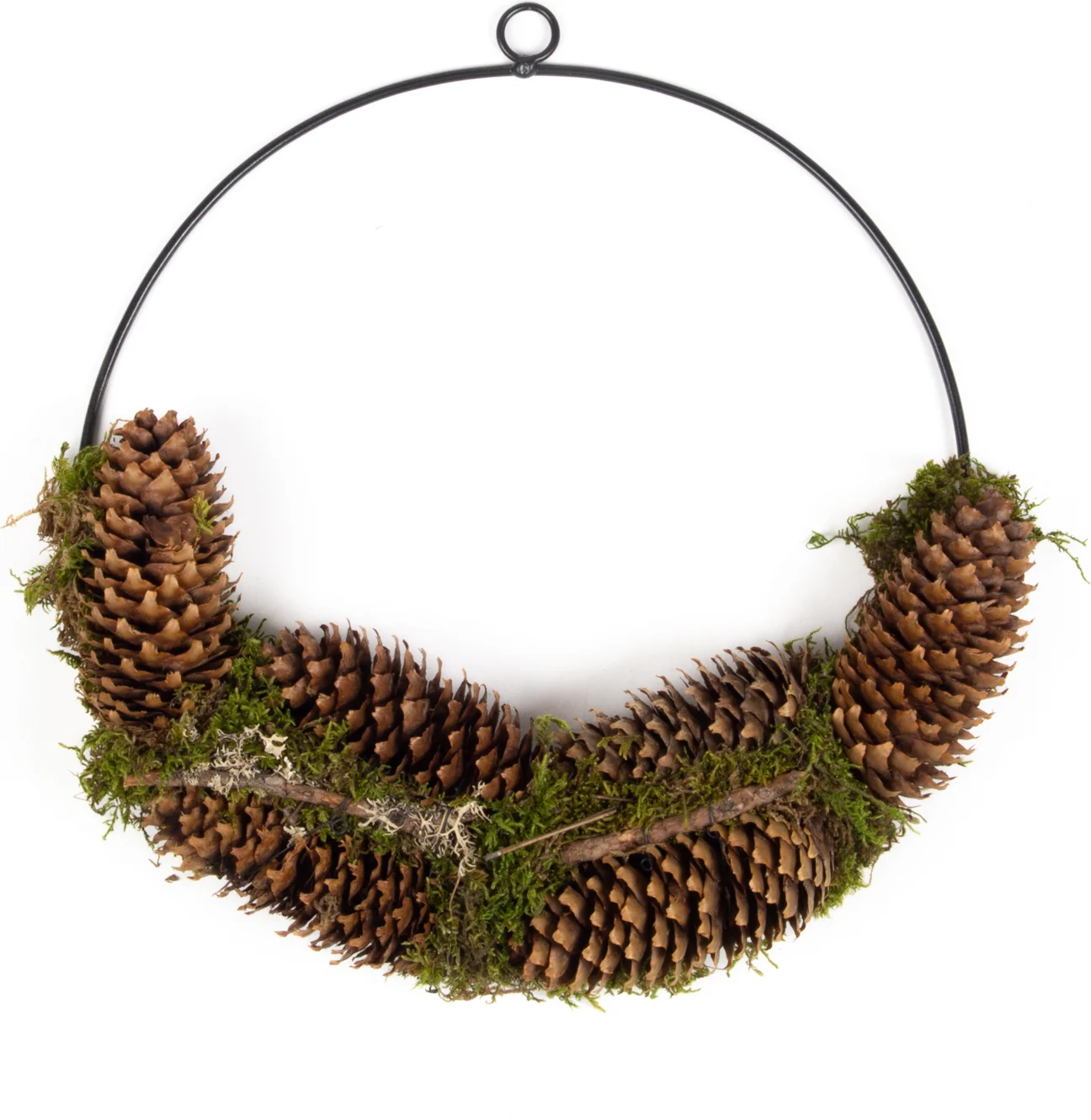 Wandhanger ring Josh mos met dennenappels zwart / naturel D 40 H 5 cm
