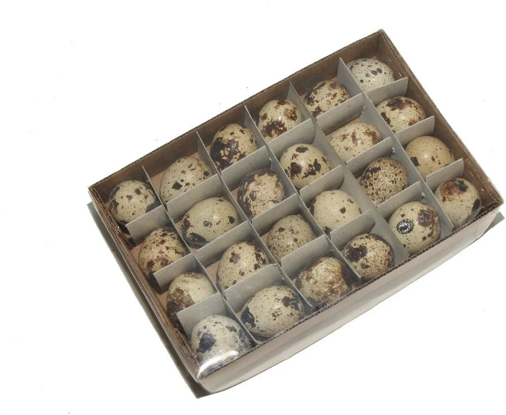 Paasdecoratie kwartelei naturel 24 stuks