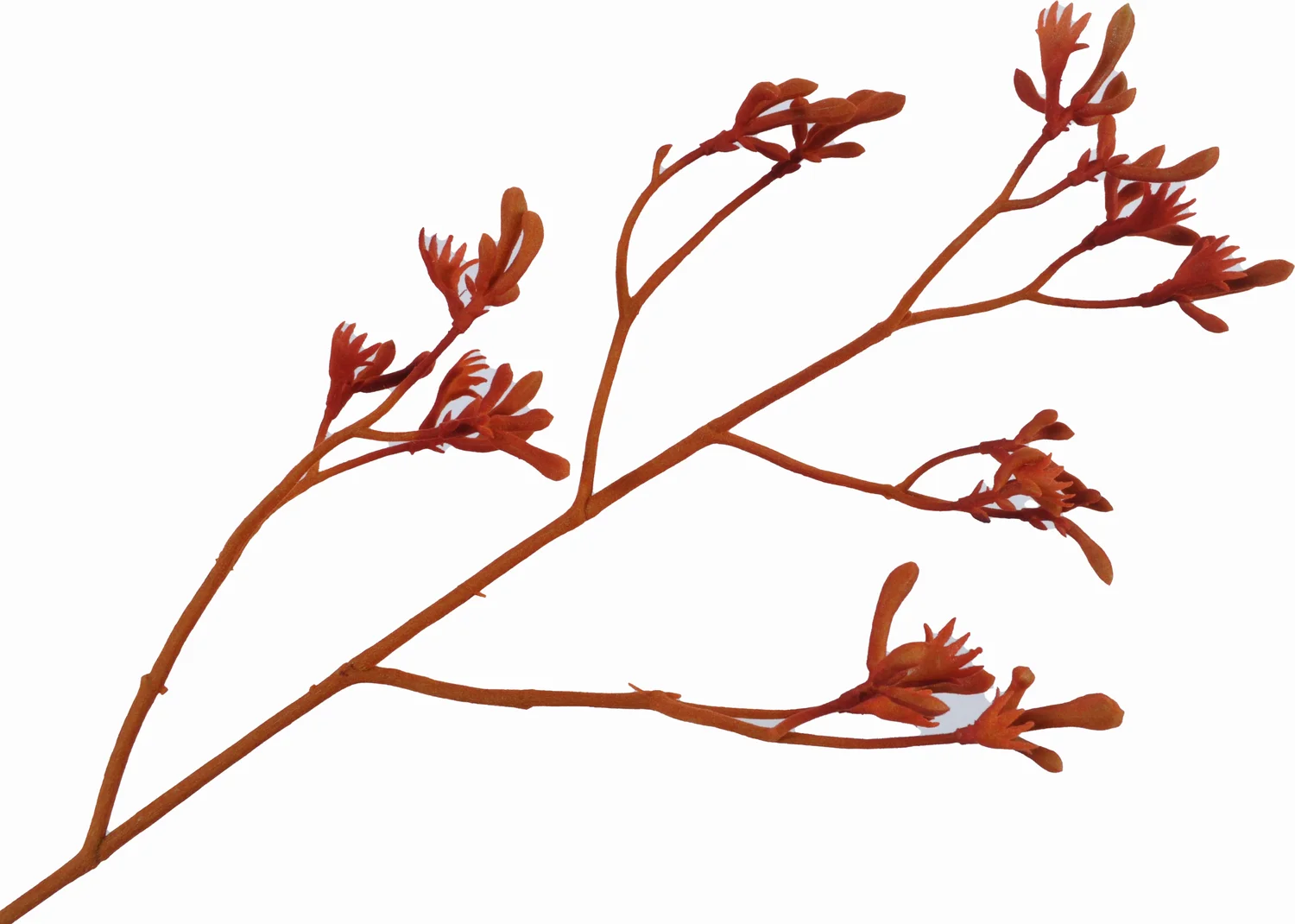 Silk-ka kunstbloem Kangoeroepootje oranje 72 cm
