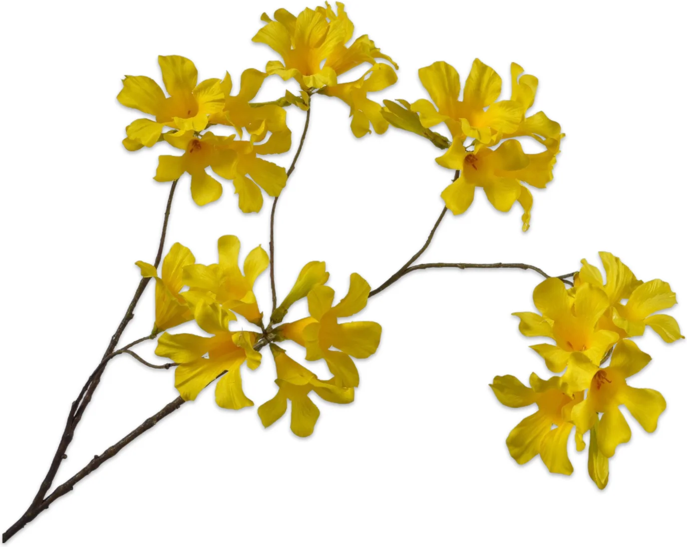 Silk-ka kunstbloem Mandevilla geel 114 cm