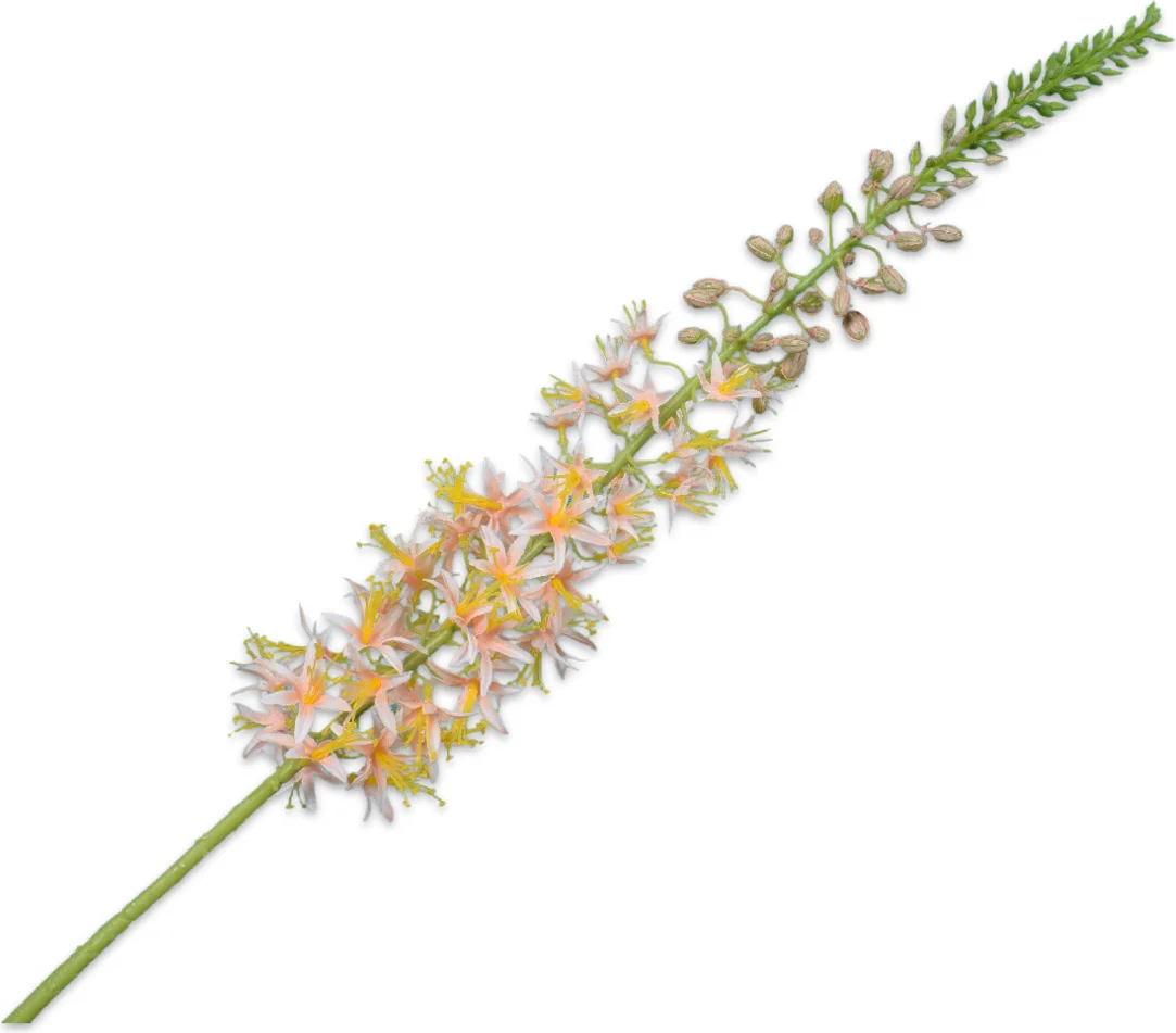 Silk-ka kunstbloem Naald van Cleopatra oranje 104 cm
