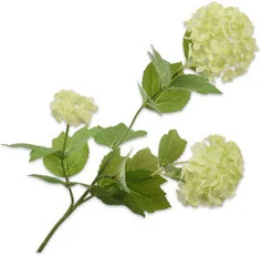 Silk-ka kunstbloem Gelderse roos groen 61 cm