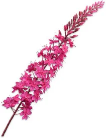 Silk-ka kunstbloem Naald van Cleopatra roze 107 cm
