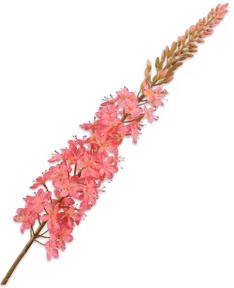 Silk-ka kunstbloem Naald van Cleopatra zalm 107 cm