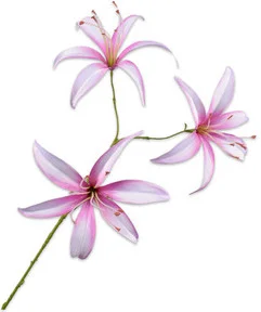 Silk-ka kunstbloem Lelie lichtroze 101 cm