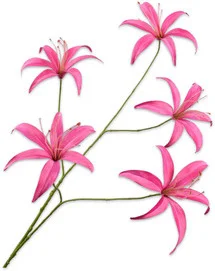 Silk-ka kunstbloem Lelie paars 113 cm