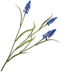 Silk-Ka kunstbloem Blauw druifje blauw 59 cm