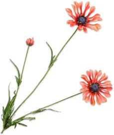 Silk-ka kunstbloem Margriet roze 66 cm