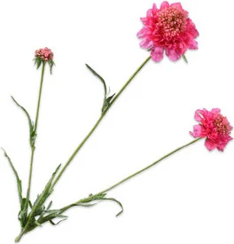 Silk-ka kunstbloem Duifkruid paars 66 cm