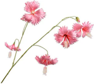 Silk-ka kunstbloem Chinese roos roze 111 cm