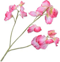 Silk-Ka kunstbloem Lathyrus licht paars 66 cm