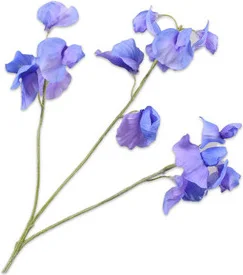 Silk-Ka kunstbloem Lathyrus blauw 66 cm