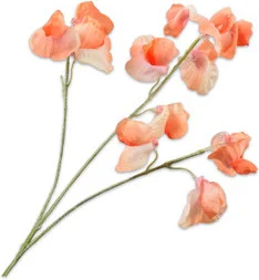 Silk-Ka kunstbloem Lathyrus oranje 66 cm