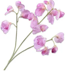 Silk-Ka kunstbloem Lathyrus paars 66 cm