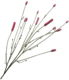 Silk-ka kunstbloem Pimpernel roze 84 cm