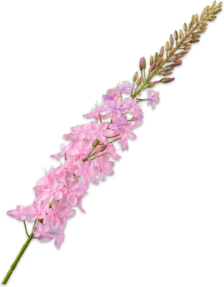Silk-ka kunstbloem Naald van Cleopatra lichtroze 107 cm