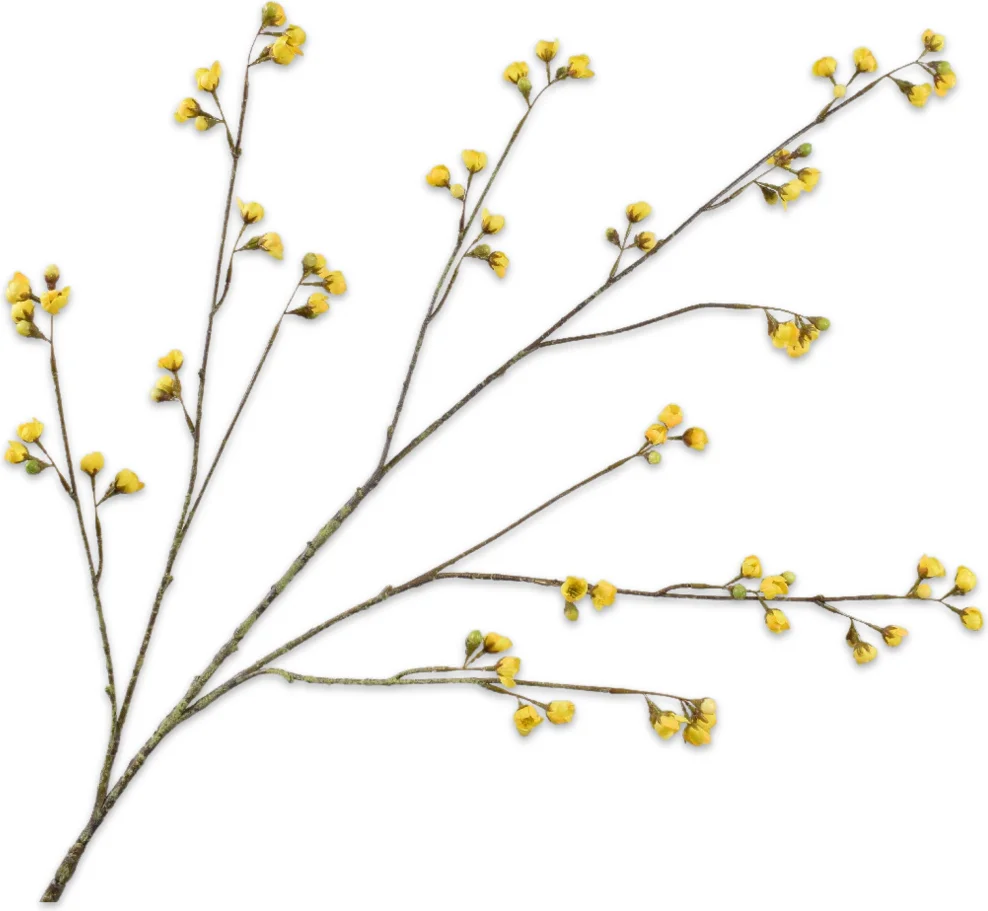 Silk-ka kunstbloem Waxflower geel 127 cm