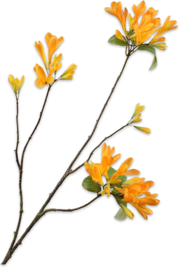 Silk-ka kunstbloem Kamperfoelie geel 74 cm