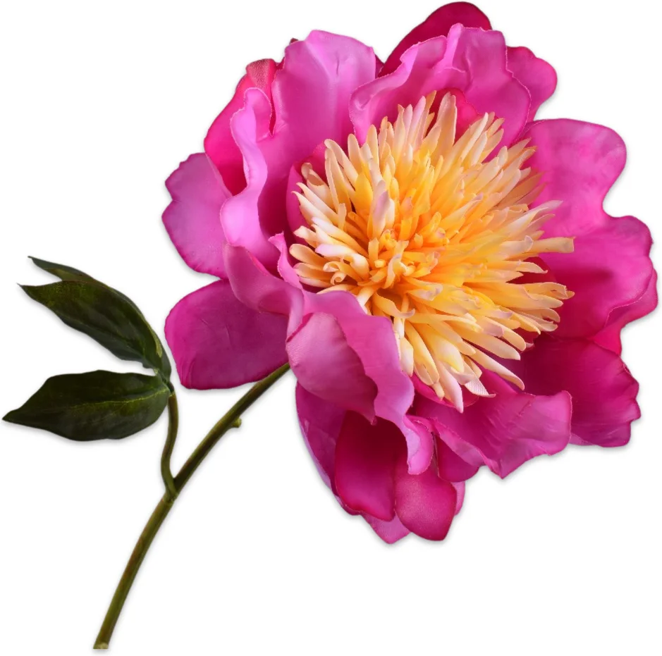 Silk-ka kunstbloem Pioenroos paars 56 cm
