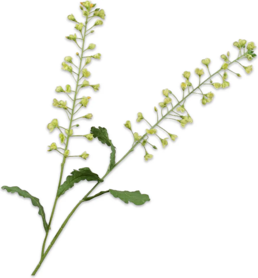 Silk-ka kunstbloem Primula groen 85 cm
