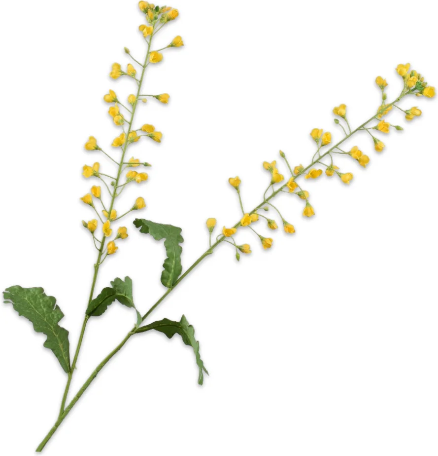 Silk-ka kunstbloem Primula geel 85 cm