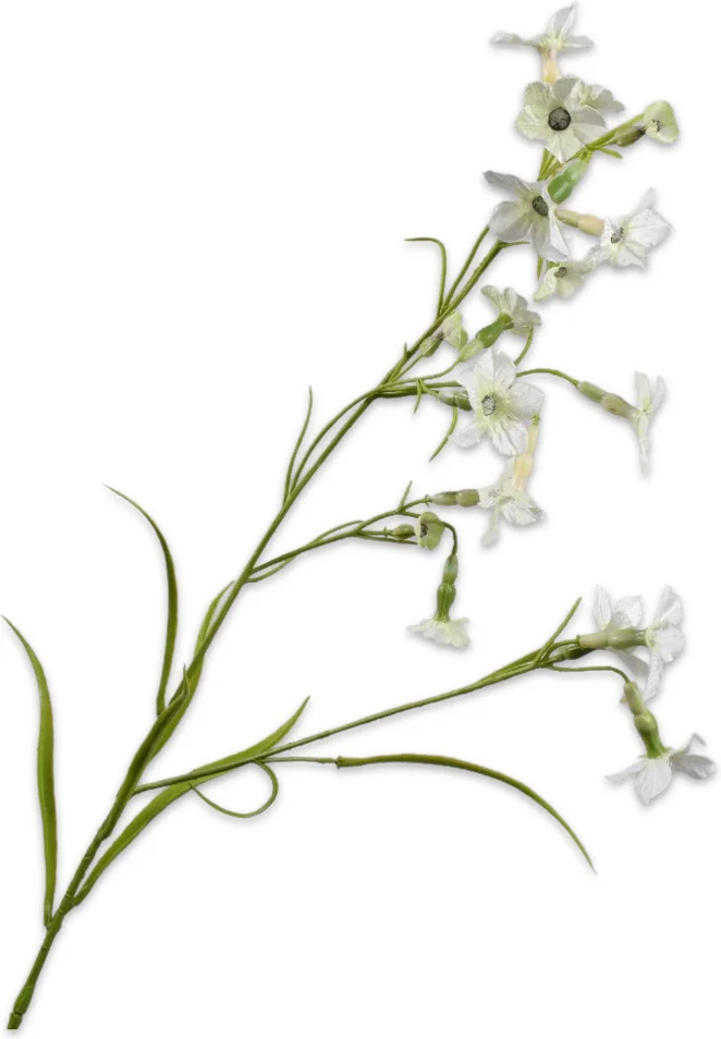 Silk-ka kunstbloem Engelentrompet crème 78 cm