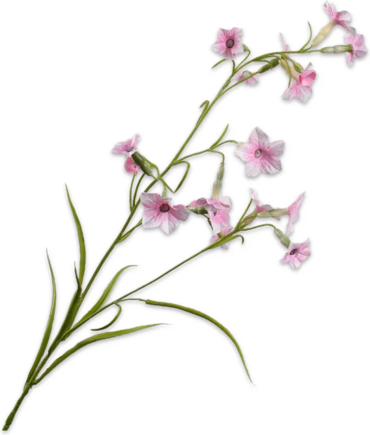 Silk-ka kunstbloem Engelentrompet roze 78 cm