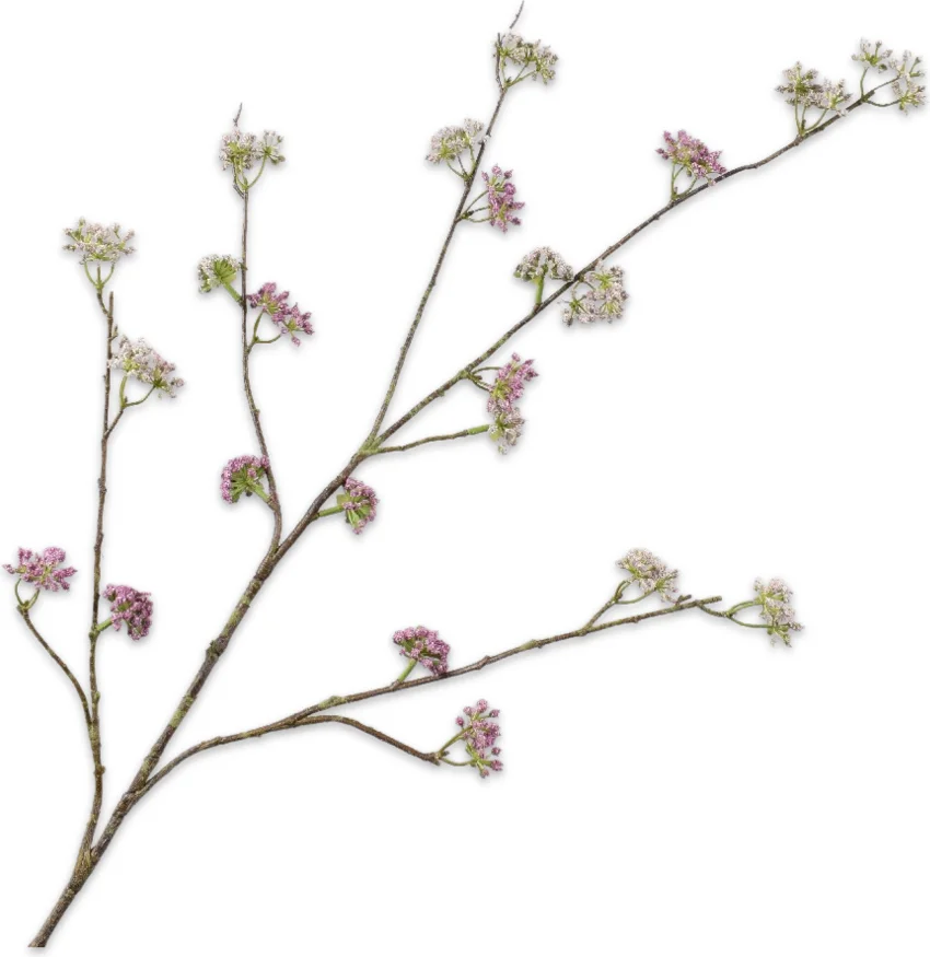 Silk-ka kunstbloem Dille groen / roze 115 cm