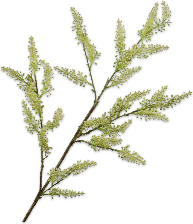 Silk-ka kunstbloem Dille groen 93 cm