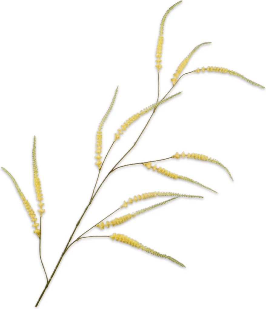 Silk-ka kunstbloem Zilverkaars geel 140 cm
