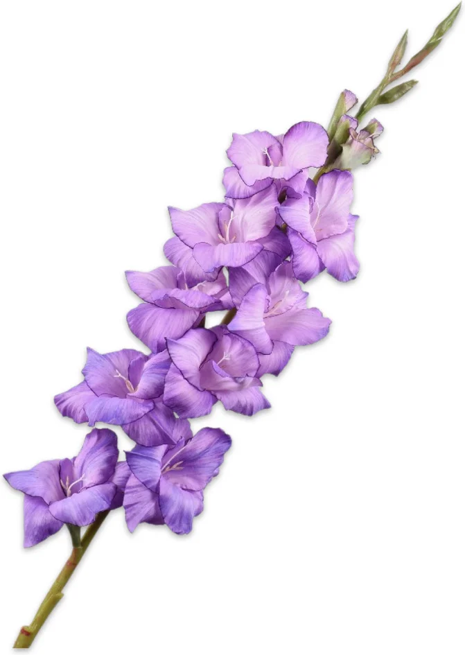 Silk-ka kunstbloem Gladiool paars 101 cm