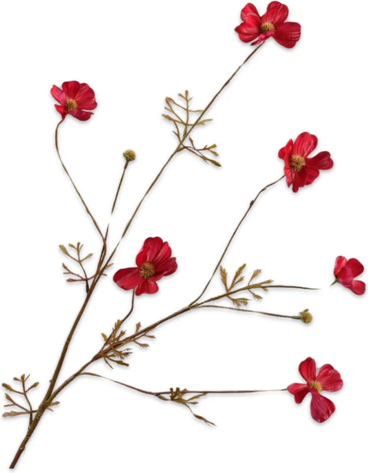 Silk-ka kunstbloem Cosmea rood 77 cm