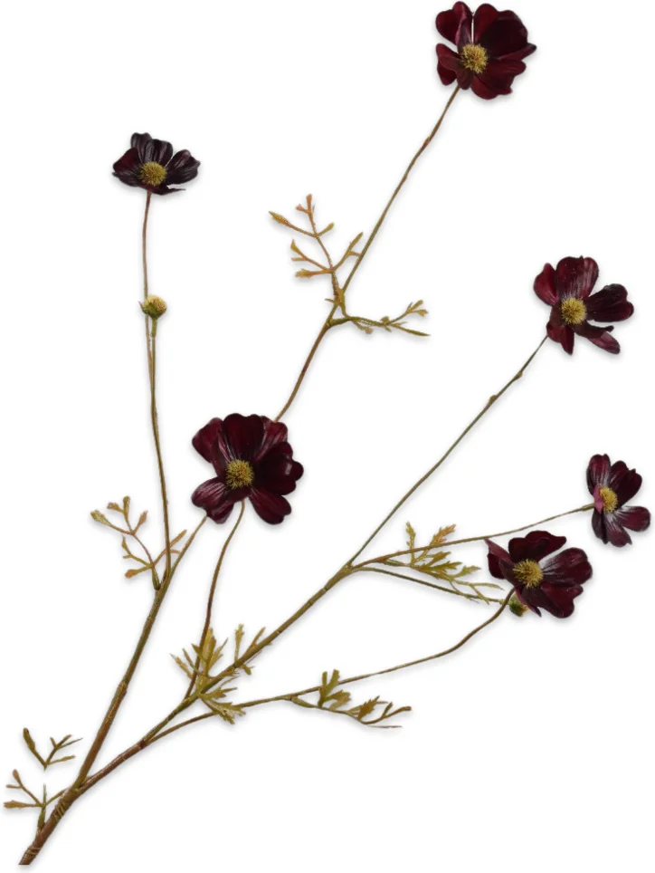 Silk-ka kunstbloem Cosmea bordeaux 77 cm