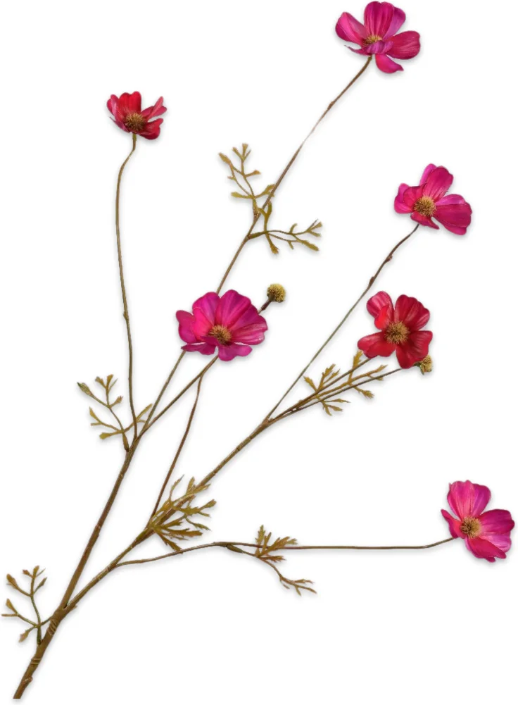 Silk-ka kunstbloem Cosmea rood / roze 77 cm