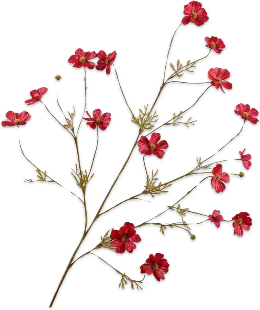 Silk-ka kunstbloem Cosmea rood 104 cm