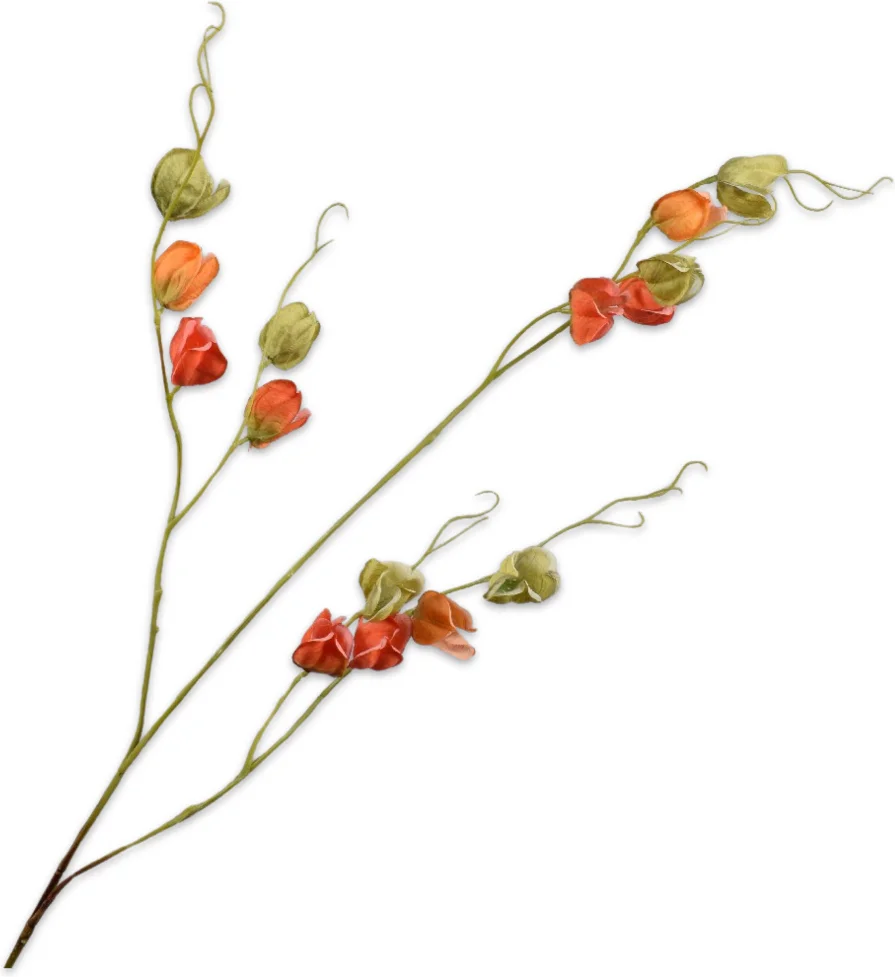 Silk-ka kunstbloem Lampionplant oranje 124 cm