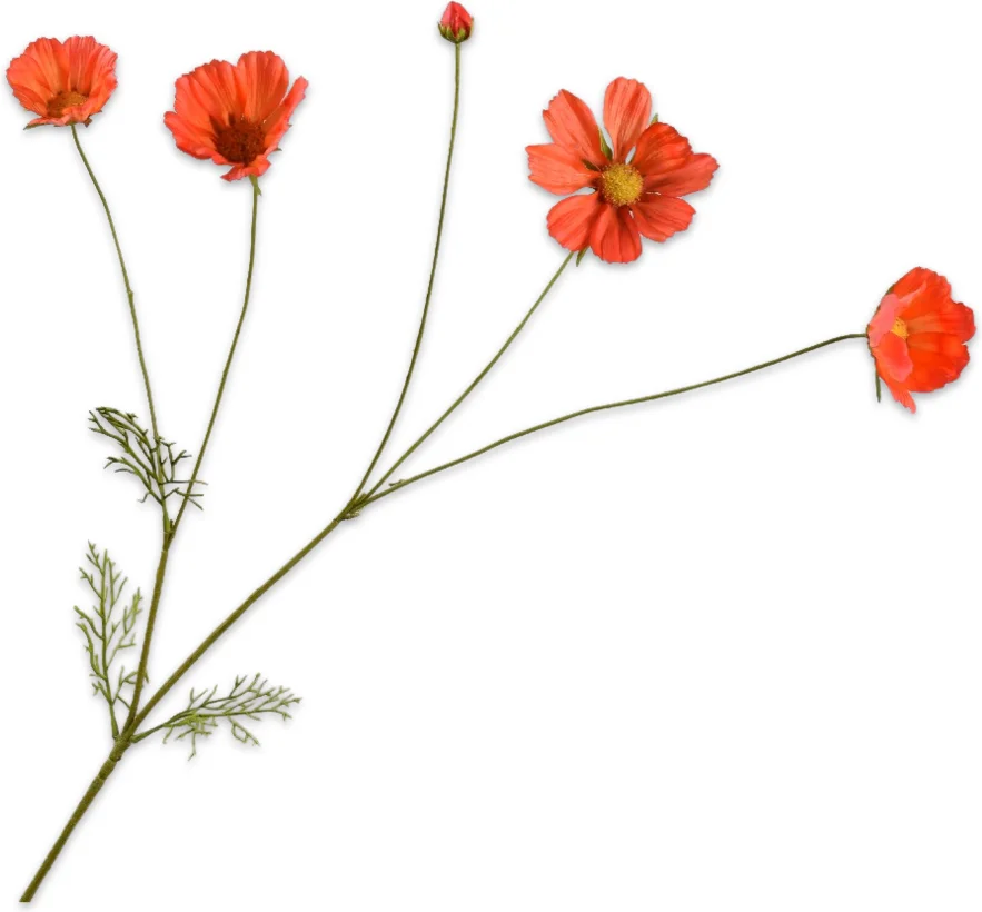 Silk-ka kunstbloem Cosmea donkeroranje 92 cm