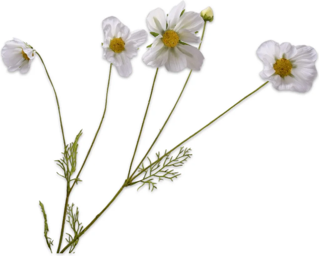 Silk-ka kunstbloem Cosmea wit 92 cm