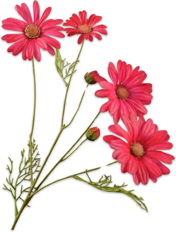 Silk-ka kunstbloem Margriet roze 60 cm