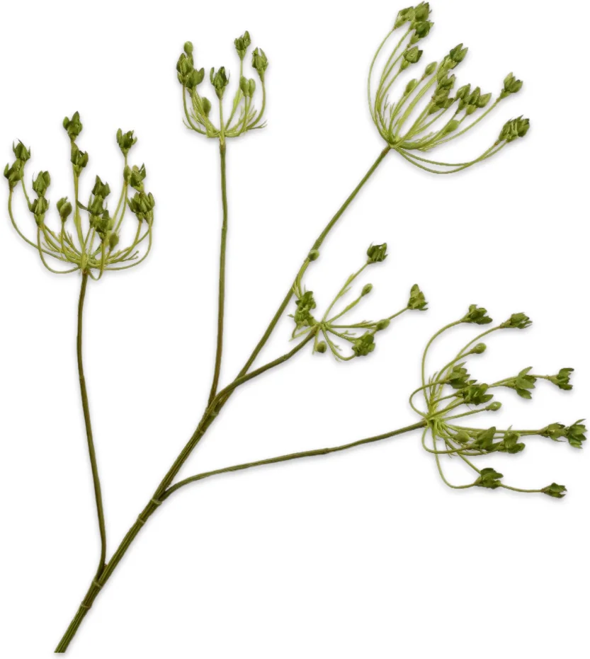 Silk-ka kunstbloem Dille groen 83 cm
