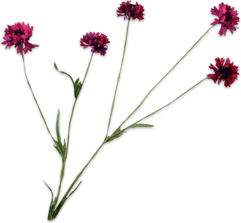 Silk-ka kunstbloem Korenbloem donkerroze 92 cm