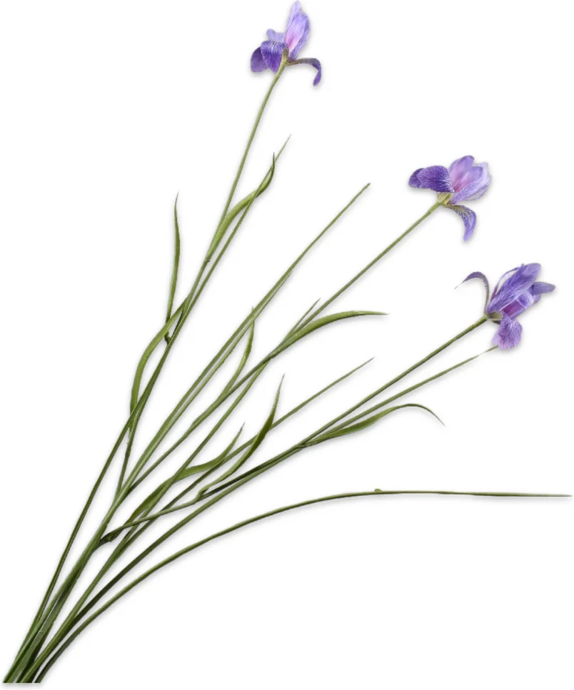Silk-ka kunstbloem Iris lichtpaars 71 cm