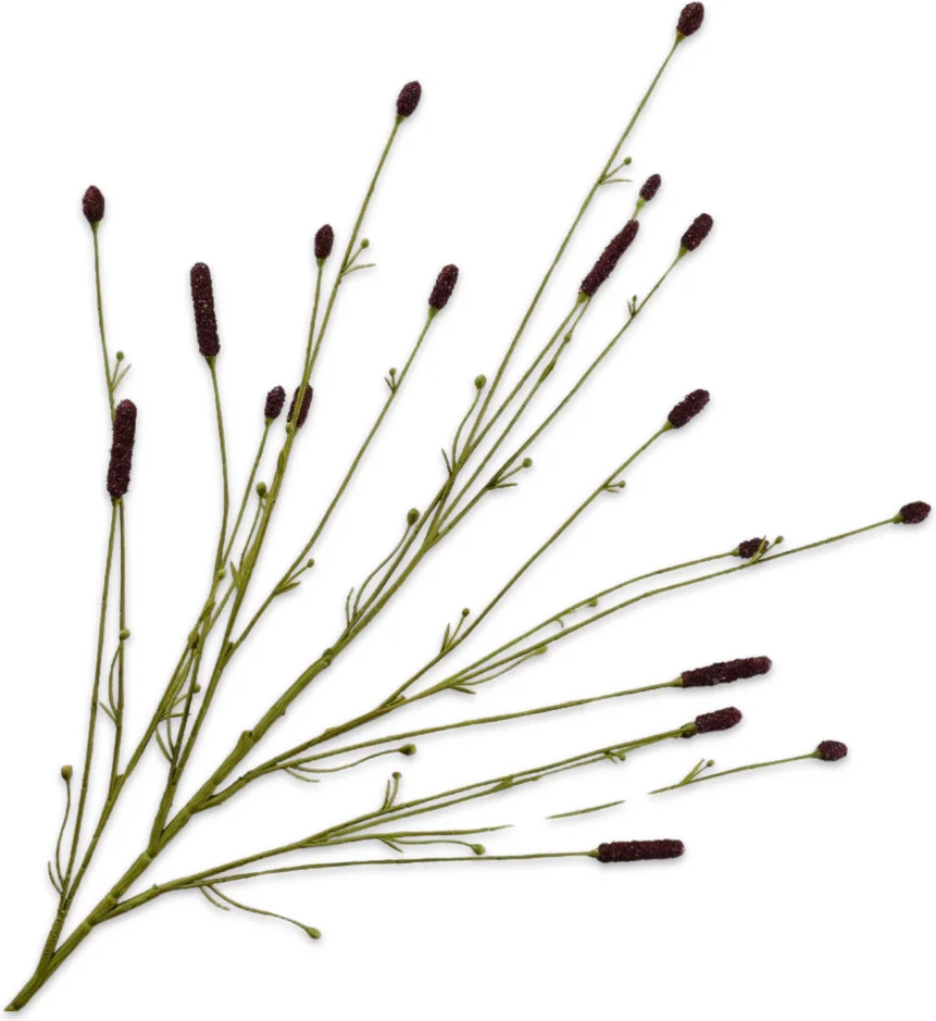 Silk-ka kunstbloem Pimpernel bruin 116 cm